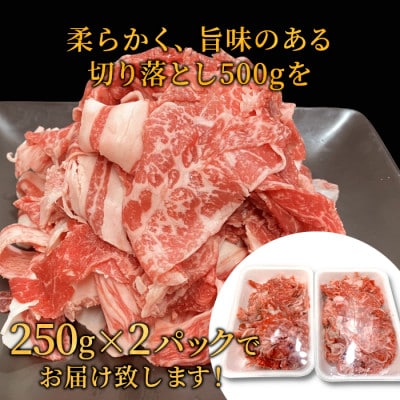 根羽こだわり和牛 切り落とし500g&カタロース焼肉用500g