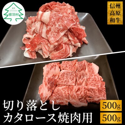 信州高原和牛 切り落とし500g&カタロース焼肉用500g