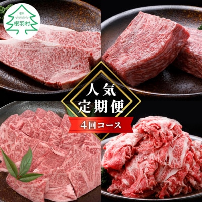 【毎月定期便】根羽村　人気お肉定期便　カタロース・切り落とし・モモブロック・ステーキ全4回