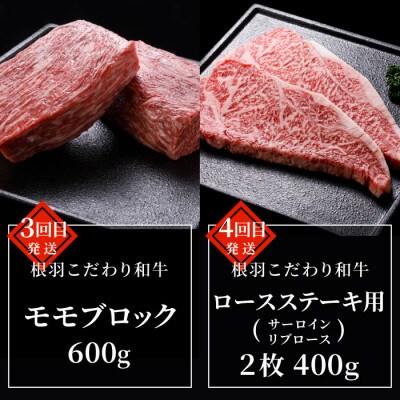 【毎月定期便】根羽村　人気お肉定期便　カタロース・切り落とし・モモブロック・ステーキ全4回