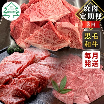 【毎月定期便】毎月3回お届け!焼肉定期便全3回