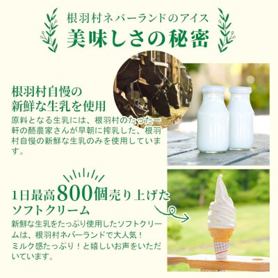 生ソフトクリームアイス(100ml)×8個