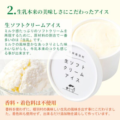 生ソフトクリームアイス(100ml)×8個