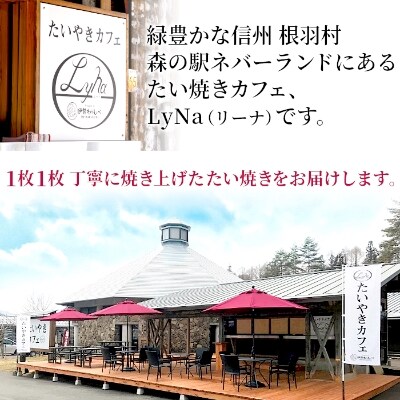 生ソフトクリームアイス&たい焼きセット