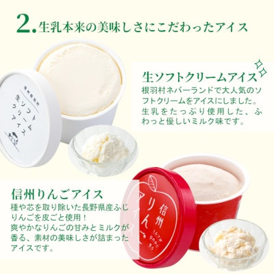 南信州産 手作りアイス詰め合わせ 8個セット