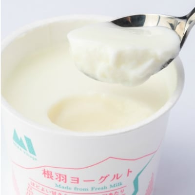 なめらか加糖ヨーグルト たっぷり20個入り