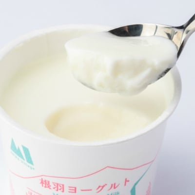 なめらか加糖ヨーグルト 10個入り