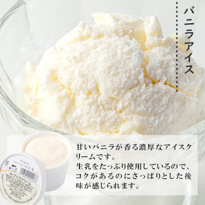 バニラアイスクリーム&信州りんごアイス　8個入り