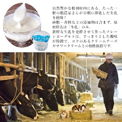 サクサククッキー生地!ヨーグルトフロマージュタルト 1箱 5号サイズ チーズケーキ