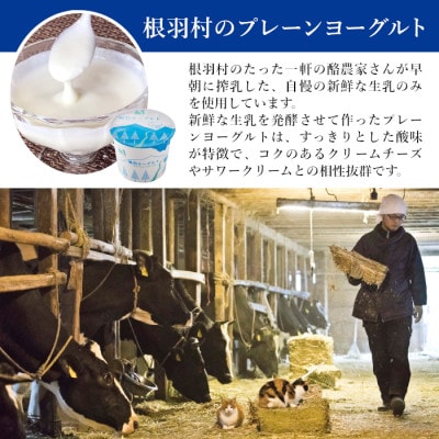 3層のしっとり濃厚!ヨーグルトフロマージュタルト 2箱 5号サイズ　チーズケーキ