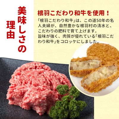 根羽こだわり和牛コロッケ 100個入り 国産黒毛和牛100%