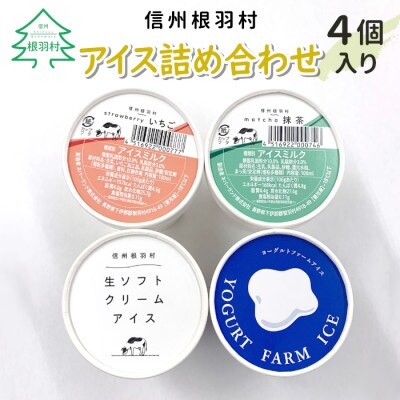 南信州根羽村産 アイス詰め合わせ 4個セット (4種類×1個)