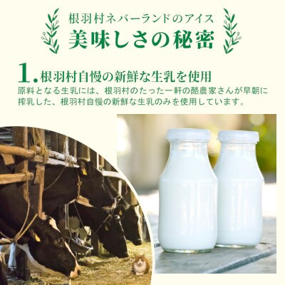南信州根羽村産 アイス詰め合わせ 4個セット (4種類×1個)