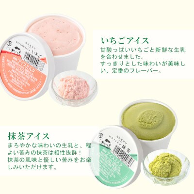 南信州根羽村産 アイス詰め合わせ 4個セット (4種類×1個)