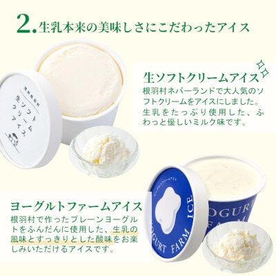 南信州根羽村産 アイス詰め合わせ 8個セット (4種類×2個)
