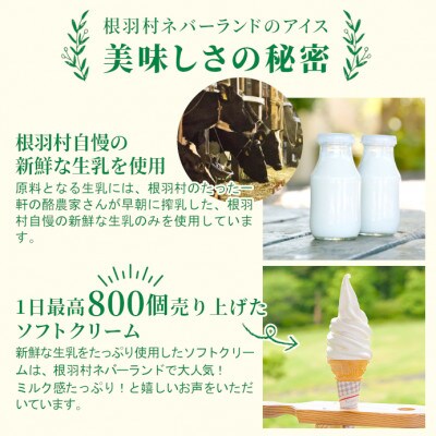 優しいミルクの甘さ 生ソフトクリームアイス&いちごアイス 16個セット