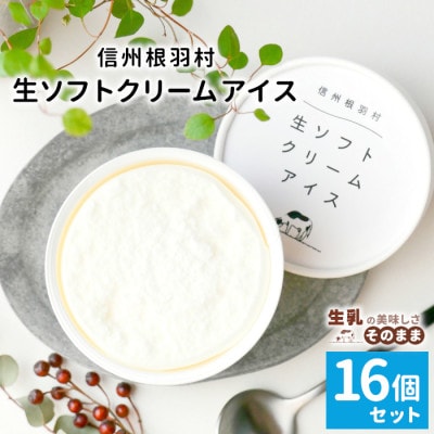 乳原料100%南信州産!着色料・香料不使用。シンプルな素材で作った生ソフトクリームアイス　16個入り