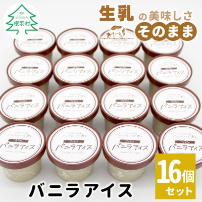 濃厚だけど後味さっぱり!バニラアイスクリーム 16個セット