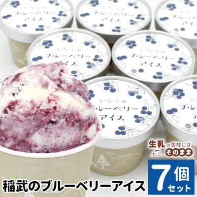栽培期間中農薬・除草剤不使用!30品種をブレンドした いなぶのブルーベリー アイス 80ml×7個
