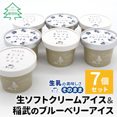 ミルク感たっぷりの生ソフトクリーム&いなぶのブルーベリー 7個