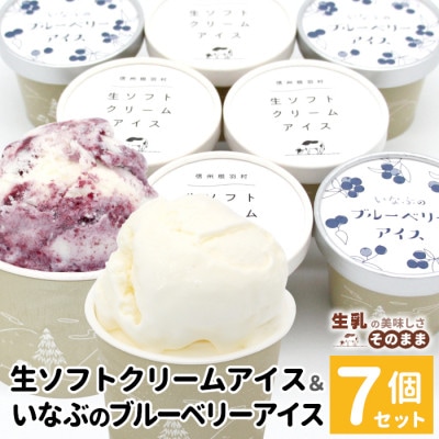 ミルク感たっぷりの生ソフトクリーム&いなぶのブルーベリー 7個