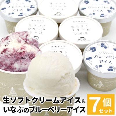 ミルク感たっぷりの生ソフトクリーム&いなぶのブルーベリー 7個