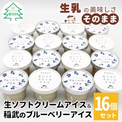 ミルク感たっぷりの生ソフトクリーム&いなぶのブルーベリー 16個(80ml×各8個)