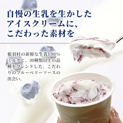 ミルク感たっぷりの生ソフトクリーム&いなぶのブルーベリー 16個(80ml×各8個)