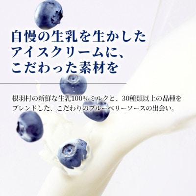 ミルク感たっぷりの生ソフトクリーム&いなぶのブルーベリー 16個(80ml×各8個)