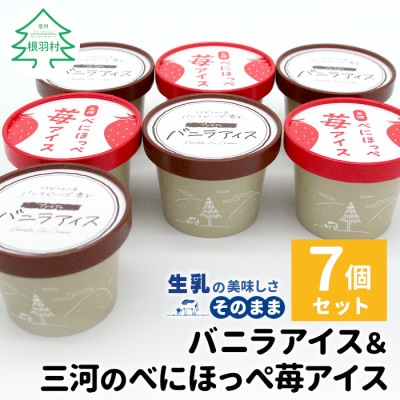 マダガスカル産バニラアイスクリーム&べにほっぺ苺アイス　7個入り
