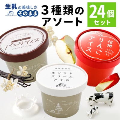 3種類のアイスアソート 24個入り　生ソフトクリームアイス バニラアイス りんごアイス
