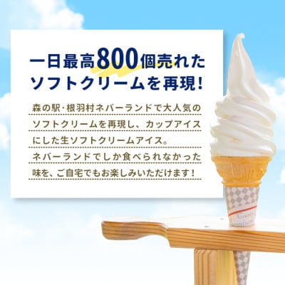 生ソフトクリームアイス(80ml)×24個 着色料・香料不使用