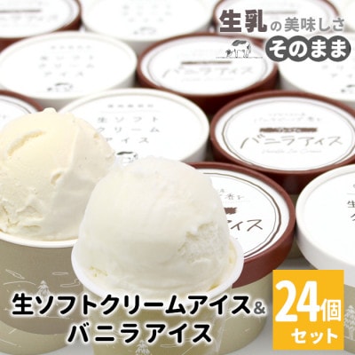 食べ比べ!24個セット　生ソフトクリームアイス&バニラアイスクリーム