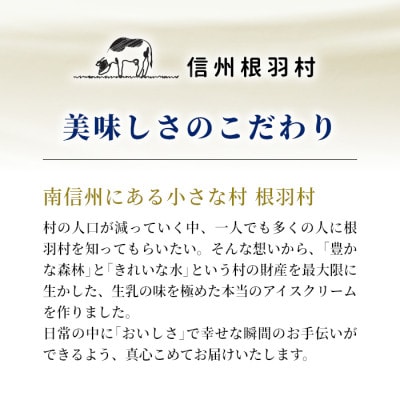【毎月定期便】人気アイス3種 80ml×各8個(合計24個)全3回