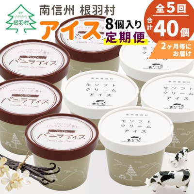 【2ヵ月毎定期便】根羽村で一番人気の食べ比べアイスが2ヵ月に1度届く!全5回
