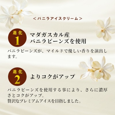 【2ヵ月毎定期便】根羽村で一番人気の食べ比べアイスが2ヵ月に1度届く!全5回