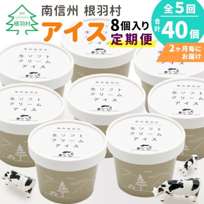 【2ヵ月毎定期便】1日最高800個売れたソフトクリームを再現したアイスクリームをお届け!全5回