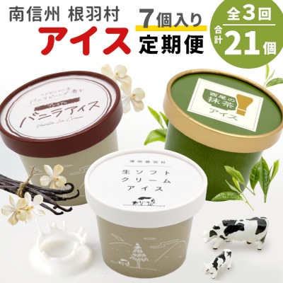 【発送月固定定期便】3種類のアイス定期便☆根羽村産アイスが毎月7個届く! 合計21個全3回