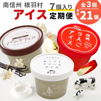 【毎月定期便】3種類のアイス定期便☆南信州根羽村産アイス が毎月7個届く! 合計21個全3回
