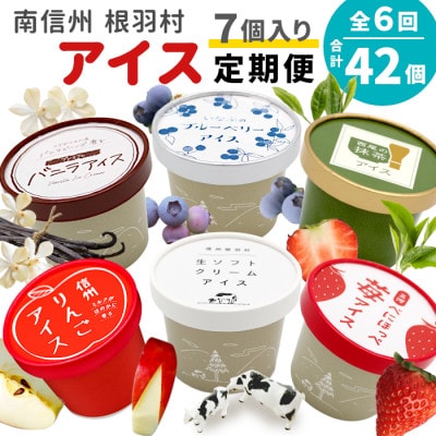 【毎月定期便】アイス定期便☆ 南信州根羽村産アイス が毎月7個届く! 合計42個全6回