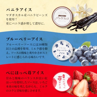 【毎月定期便】アイス定期便☆ 南信州根羽村産アイス が毎月7個届く! 合計42個全6回