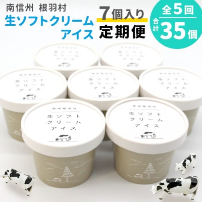 【2ヵ月毎定期便】生乳の美味しさそのまま!生ソフトクリームアイス 合計35個全5回