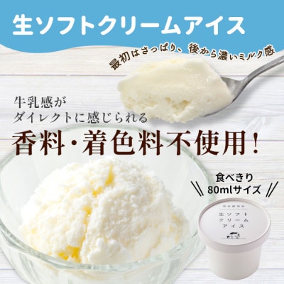 乳原料100%南信州産!着色料・香料不使用。シンプルな素材で作った生ソフトクリームアイス　16個入り