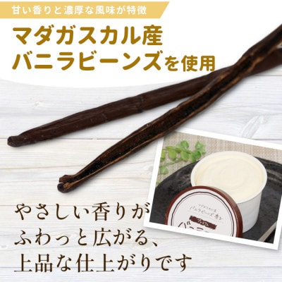 濃厚だけど後味さっぱり!バニラアイスクリーム 16個セット アイス バニラ