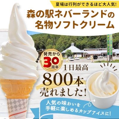 搾りたて生乳使用　食べ比べ!生ソフトクリームアイス&バニラアイスクリーム 16個セット