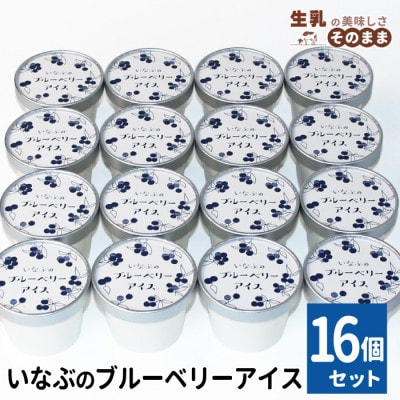 栽培期間中農薬・除草剤不使用!30品種をブレンドした いなぶのブルーベリー アイス 80ml×16個