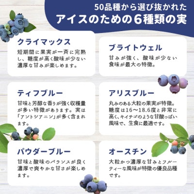 栽培期間中農薬・除草剤不使用!30品種をブレンドした いなぶのブルーベリー アイス 80ml×16個