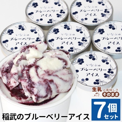 栽培期間中農薬・除草剤不使用!30品種をブレンドした いなぶのブルーベリー アイス 80ml×7個