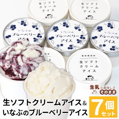 ミルク感たっぷりの生ソフトクリーム&いなぶのブルーベリー 7個
