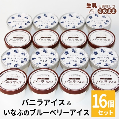 マダガスカル産バニラビーンズ香るバニラアイス&いなぶのブルーベリーアイス 16個セット